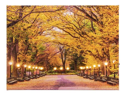 Weltbild LED vászonkép - Őszi fasor, 40 x 30 cm, melegfehér LED világítással