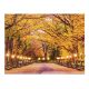 Weltbild LED vászonkép - Őszi fasor, 40 x 30 cm, melegfehér LED világítással